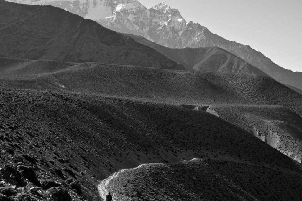 Building a Soundproof Home Office With Built-In Storage