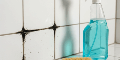Remove Black Mold from Grout 3-Step Fix